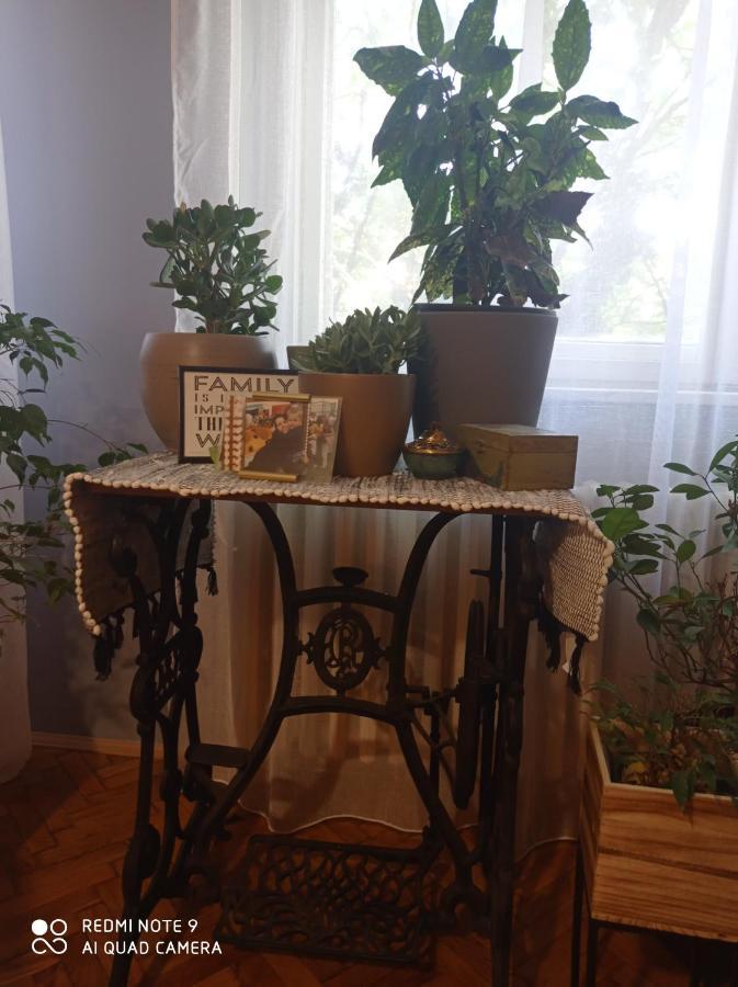 Aparmani Djuric Apartment Subotica Bagian luar foto