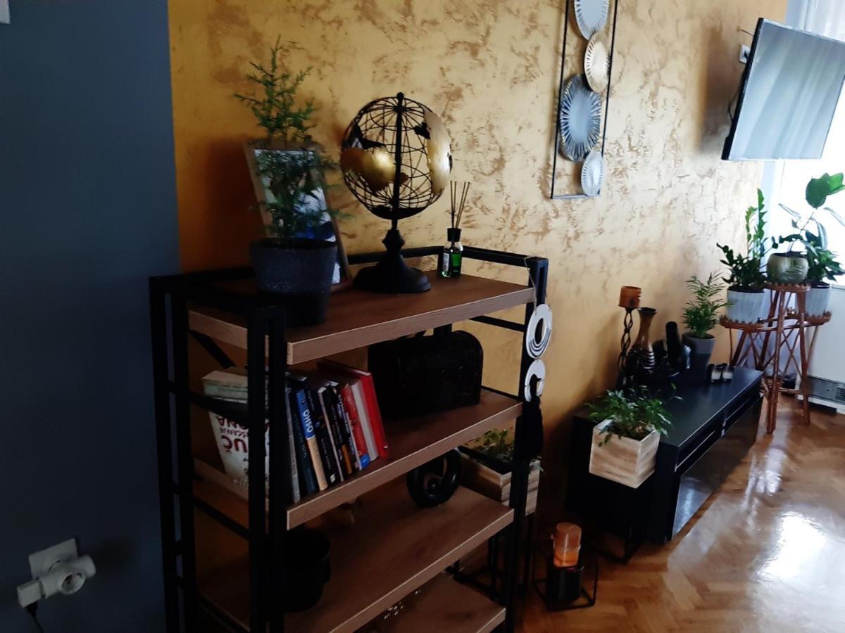 Aparmani Djuric Apartment Subotica Bagian luar foto