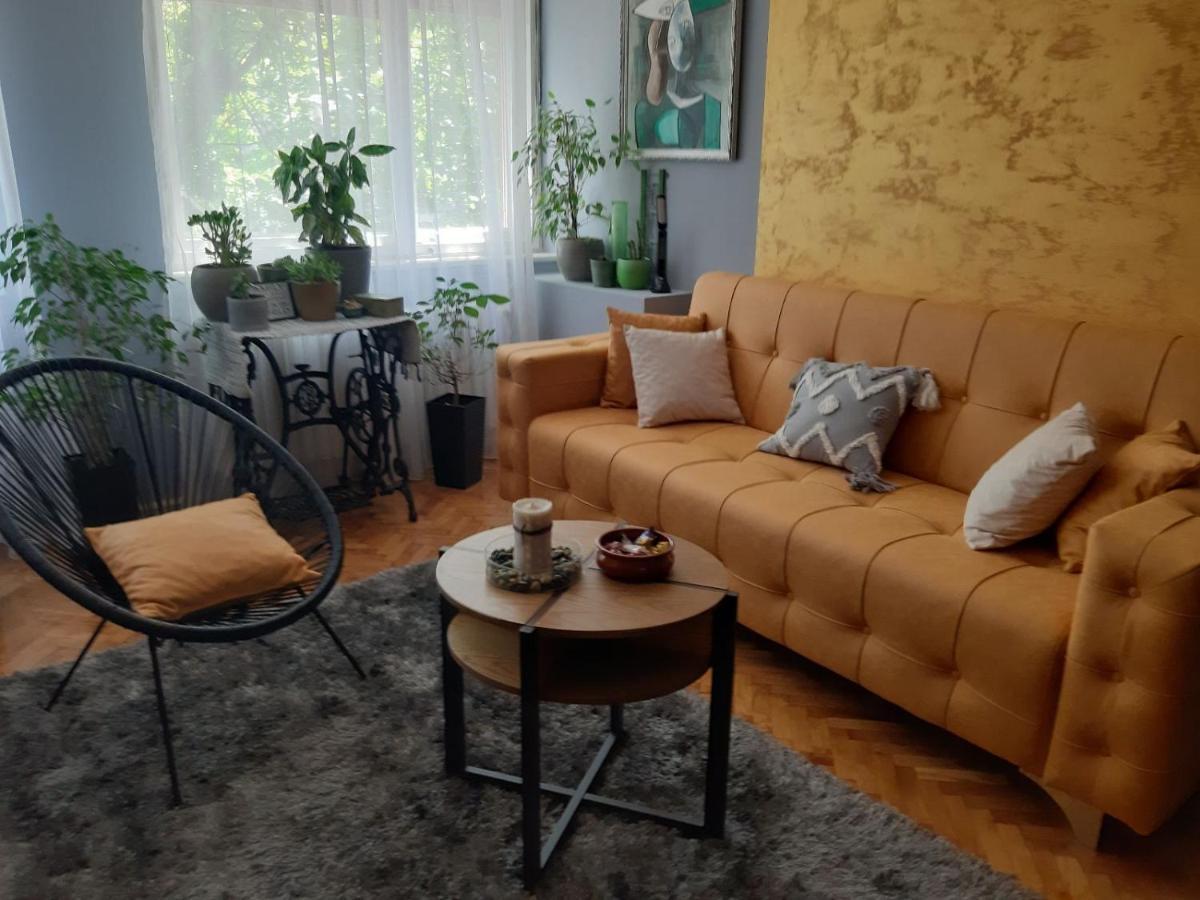 Aparmani Djuric Apartment Subotica Bagian luar foto