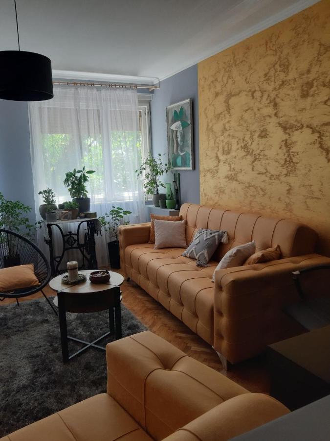 Aparmani Djuric Apartment Subotica Bagian luar foto
